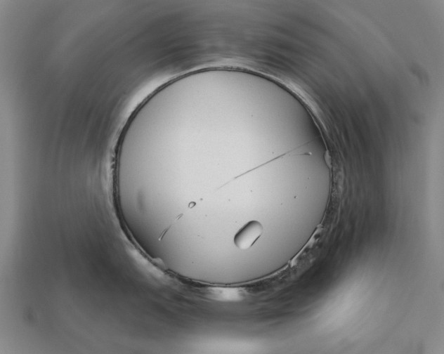 X0000112961151200909171252