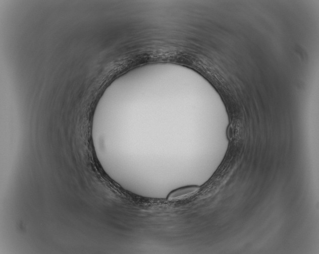 X0000112961153200909171252