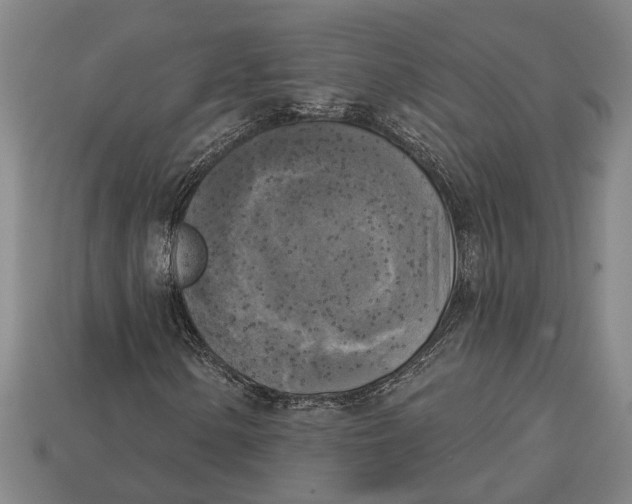 X0000112961154200909171252