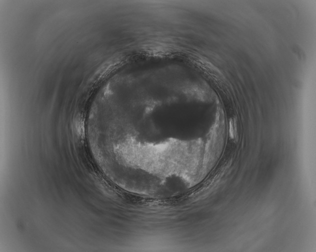 X0000112961155200909171252