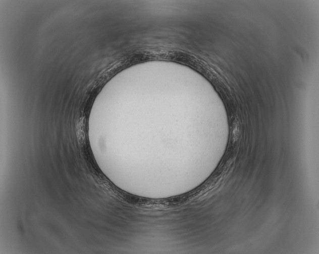 X0000112961156200909171252