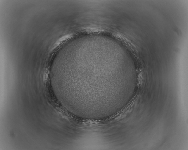 X0000112961157200909171252