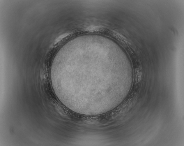 X0000112961158200909171252