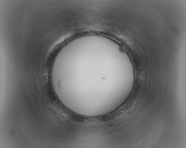 X0000112961159200909171252