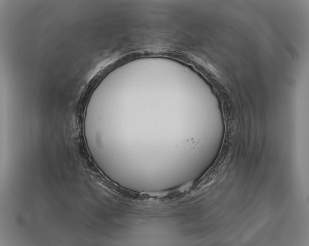 X0000112961160200909171252