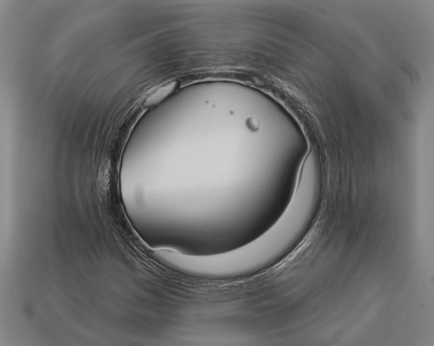 X0000112961161200909171252