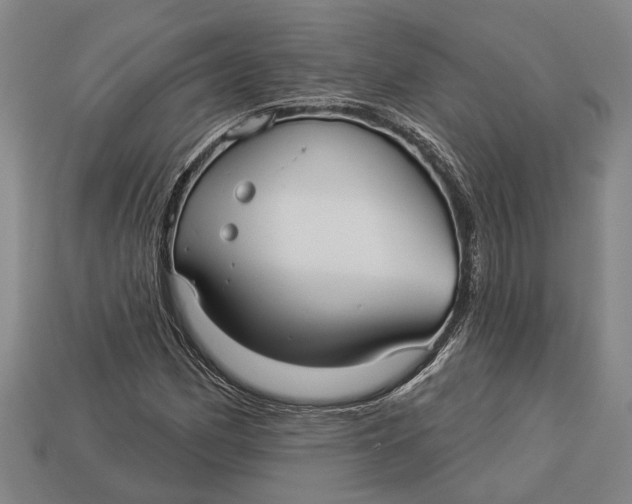 X0000112961162200909171252