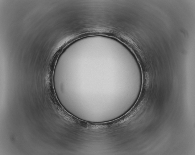 X0000112961163200909171252