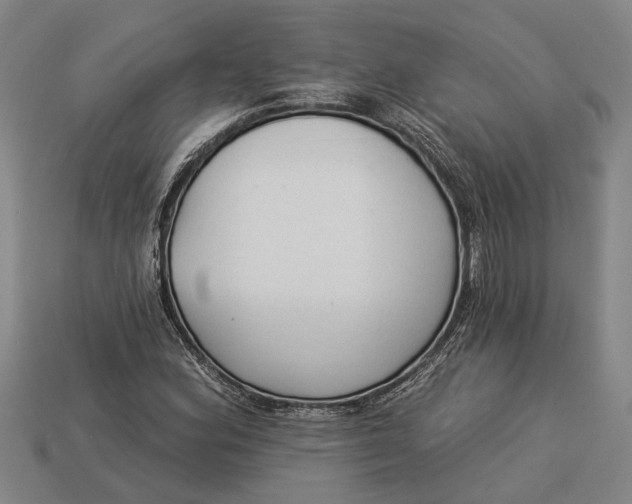 X0000112961164200909171252