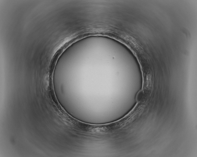 X0000112961165200909171252