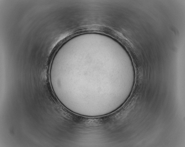 X0000112961166200909171252