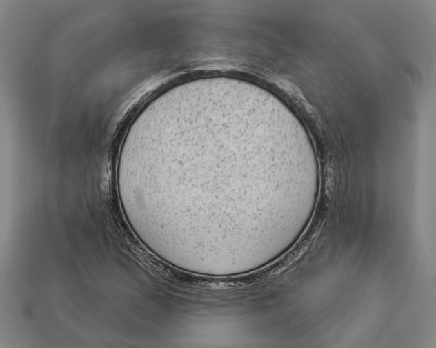 X0000112961167200909171252