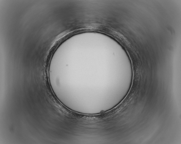 X0000112961168200909171252