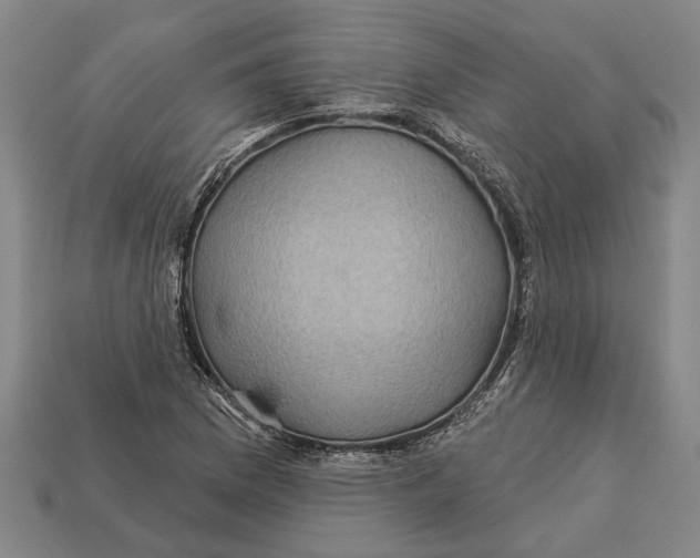 X0000112961169200909171252