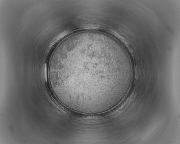 X0000112961171200909171252