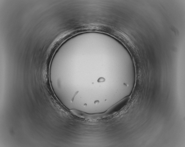 X0000112961172200909171251