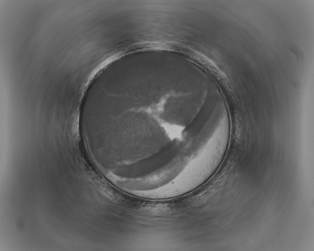 X0000112961174200909171251