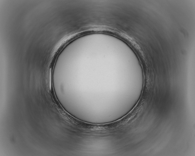 X0000112961175200909171251