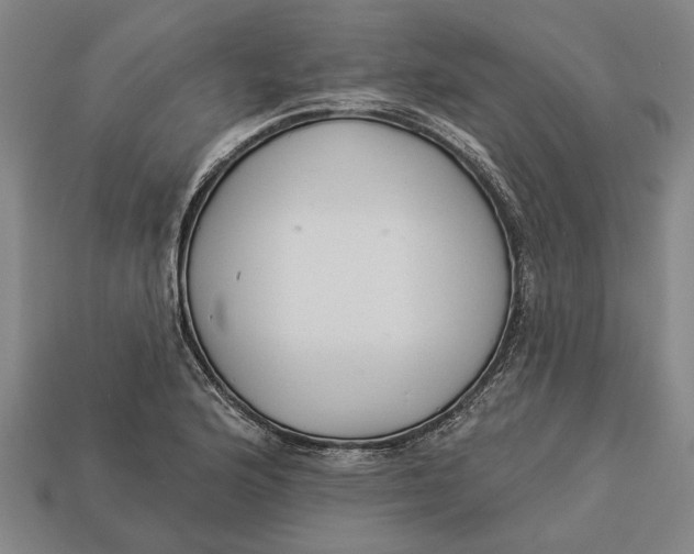 X0000112961176200909171251