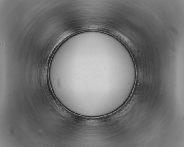 X0000112961178200909171251