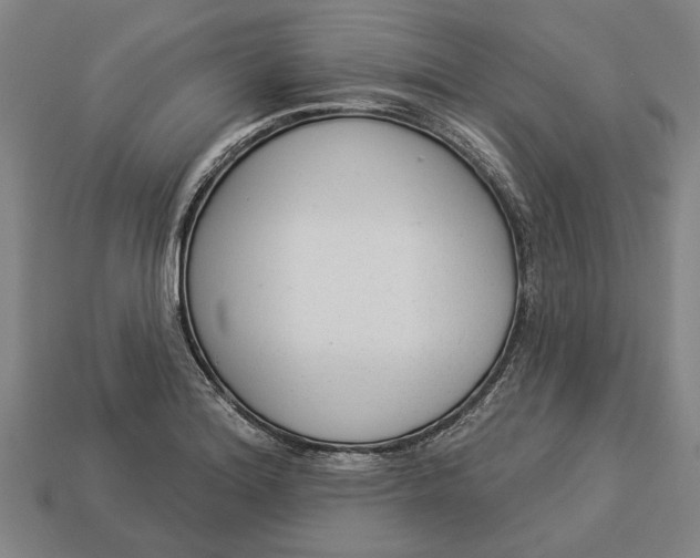 X0000112961180200909171251