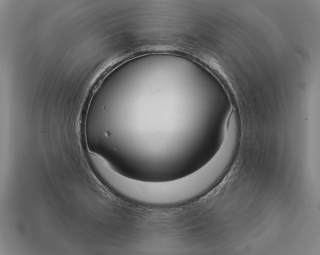 X0000112961181200909171251