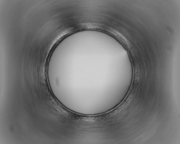 X0000112961182200909171251