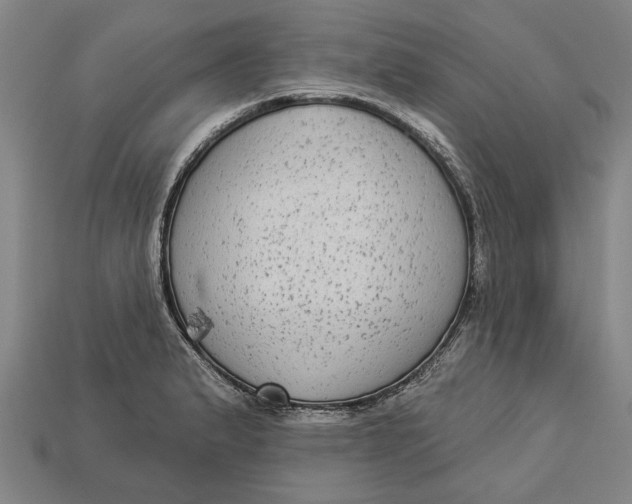 X0000112961183200909171251