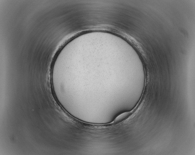 X0000112961184200909171251