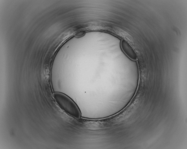 X0000112961185200909171251