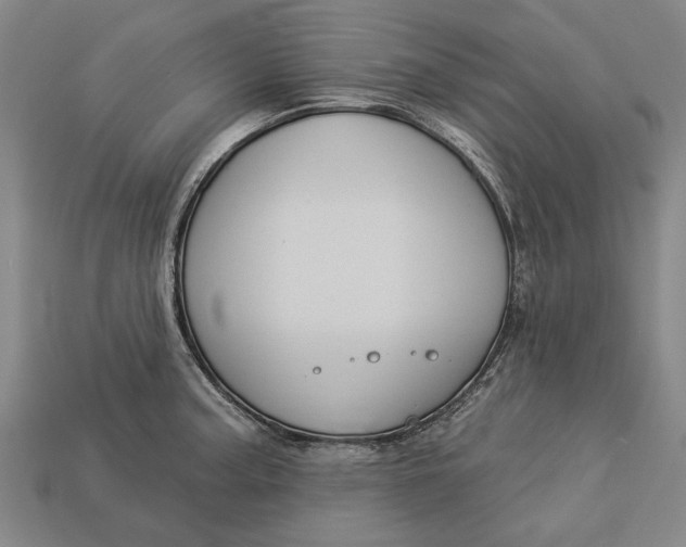 X0000112961187200909171251