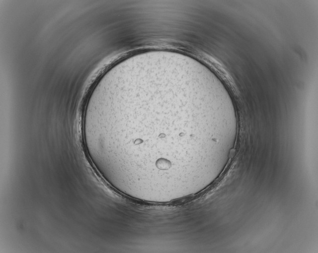 X0000112961188200909171251