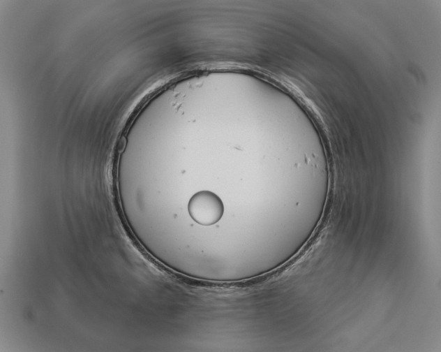 X0000112961189200909171251