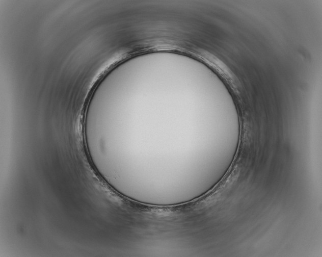 X0000112961190200909171251