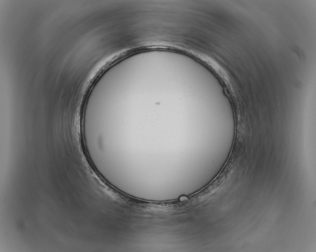 X0000112961191200909171251