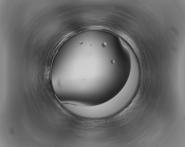 X0000112961193200909171251