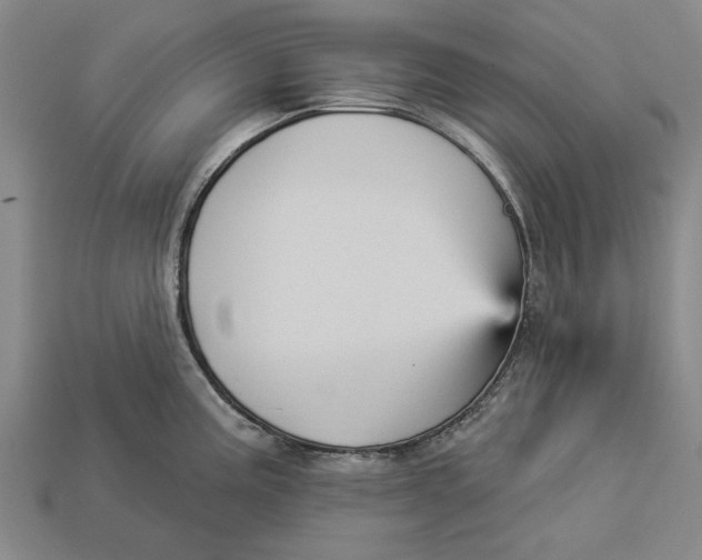 X0000112961195200909171251