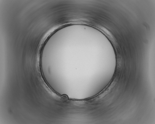 X0000112961196200909171251