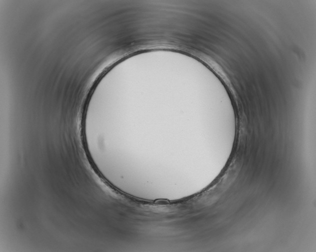 X0000112961197200909171251