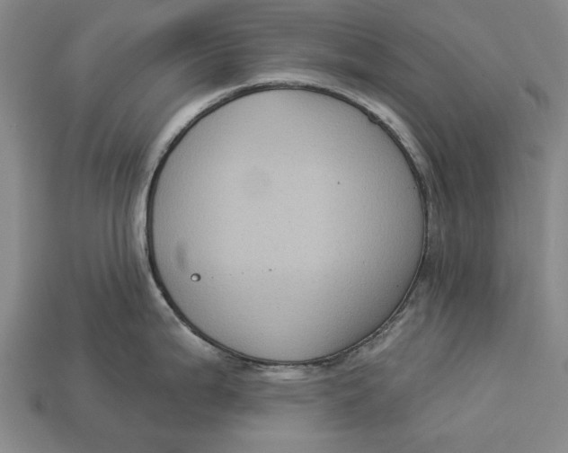 X0000112961199200909171251