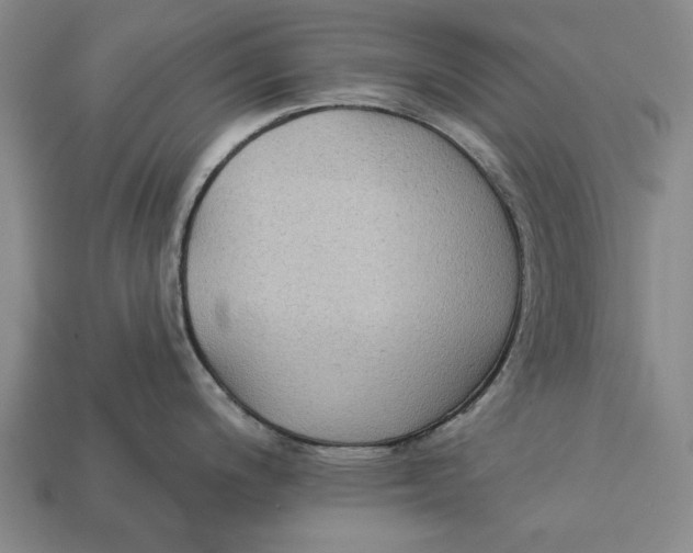 X0000112961200200909171251