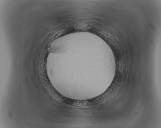 X0000112961201200909171251