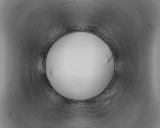 X0000112961202200909171251