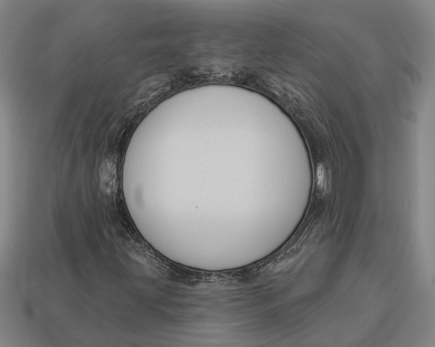 X0000112961203200909171251