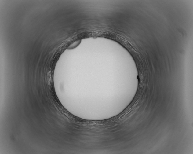 X0000112961204200909171251