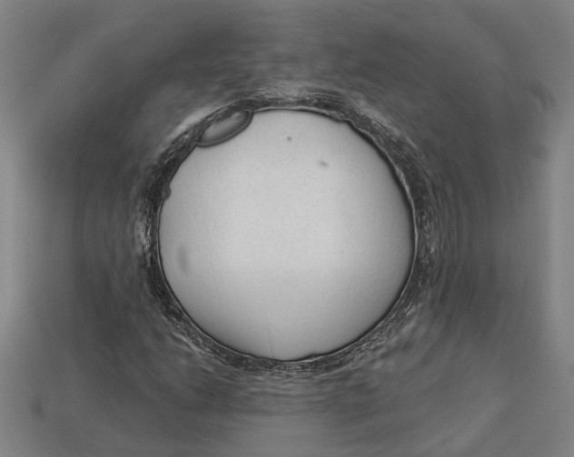 X0000112961206200909171251