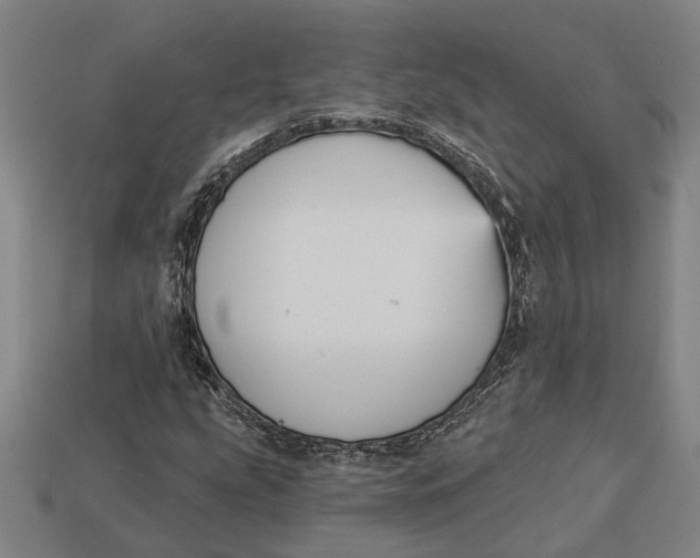 X0000112961207200909171251