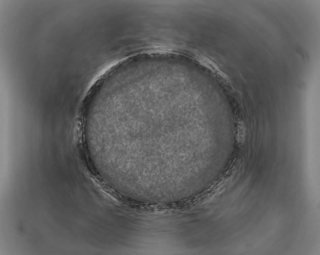 X0000112961208200909171251