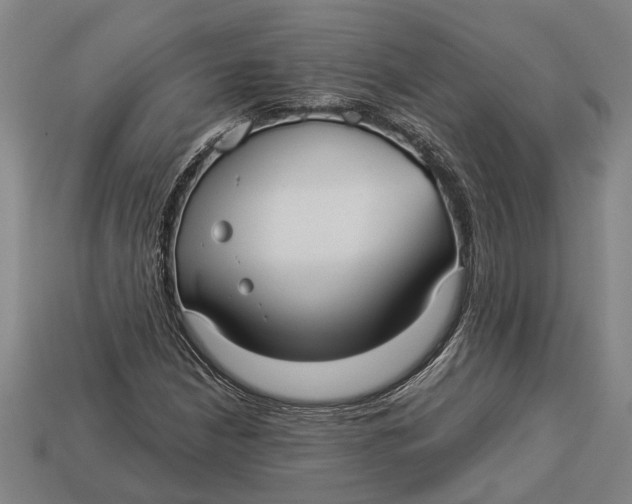 X0000112961210200909171251