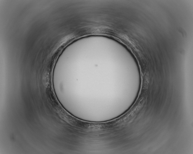 X0000112961211200909171251